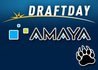 Amaya Sizes Up DraftDay Acquisition