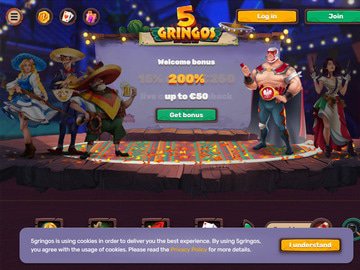 5Gringos Homepage Preview