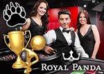 live roulette winners at royal panda casino