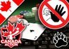 Canadian Action Group to Challenge Quebec IP Blocking Law