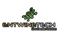 Entwine Online Casino Software