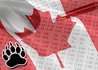 Fate of Canada's Online Sports Betting Bill C-122 Decision Approaches