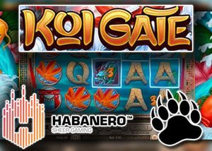 new koi gate slot habanero casinos