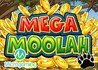 Microgaming's Mega Moolah Jackpot Hit!