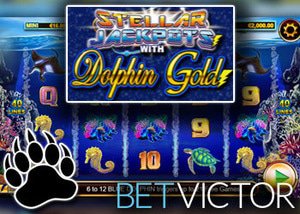 new stellar jackpots with dolphin gold slot lightning box casino bet victor