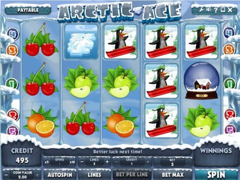 Arctic Ace Game Preview