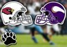 NFL Betting Arizona Cardinals vs Minnesota Vikings