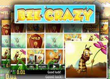 Bee Crazy HD