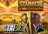 Betsoft Casinos Release New Stampede Slot