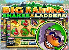 Big Kahuna - Snakes & Ladders