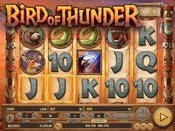 Bird of Thunder Game Preview