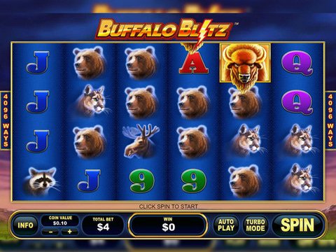 Buffalo Blitz Game Preview