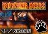 Burning Reels New Slot Released by Wazdan