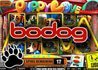 $600 Free At Bodog as Amaya Stocks Plummet