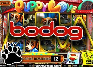 This January there is Puppy Love, $600 Free at Bodog and a lot more at Grizzly Gambling!