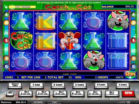 Play The Catch The Cat Slots With No Download