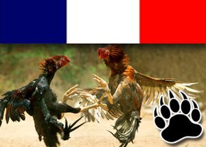 New Cock Fighting Rings Prohibited In France