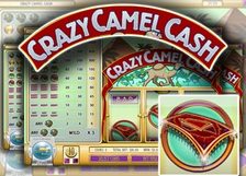 Crazy Camel Cash