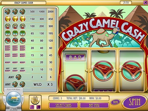 Crazy Camel Cash Game Preview