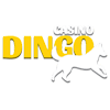 Dingo