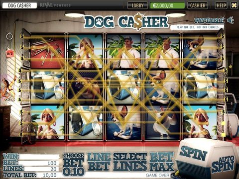 Dog Casher Game Preview