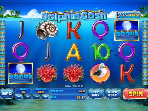 Dolphin Cash Game Preview