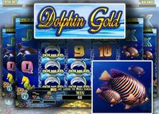 Dolphin Gold