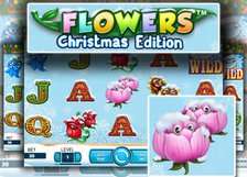 Flowers Christmas Edition