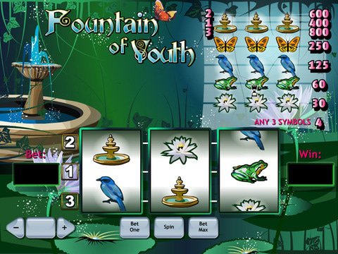 Fountain Of Youth Game Preview