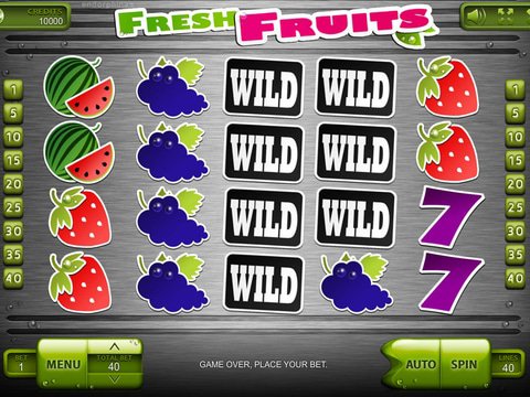 Fresh Fruits Game Preview