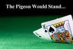 Pigeons Gambling Study