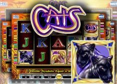 Cats Download Slot