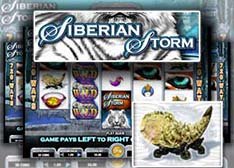 Siberian Storm Bonus Slot