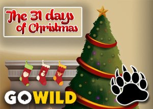 31 Days of Christmas Promotion GoWild Casino