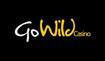 Exciting Casino Bonuses at Go Wild