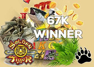 Grizzly Gambling player wins $67k at Golden Tiger Casino