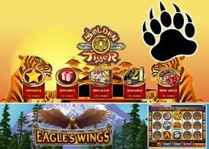 golden tiger eagles wings promo