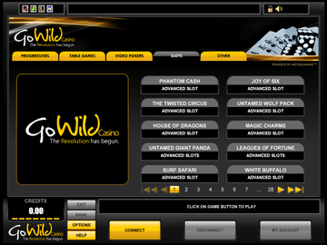 Gowild Casino Software Preview