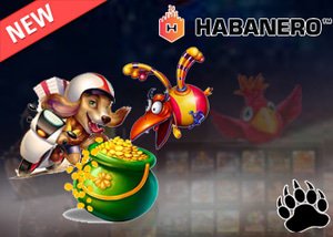 Habanero Casinos New Jackpot Race System