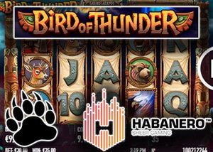 new bird of thunder slot habanero casinos