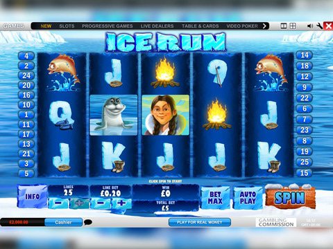 Ice Run Game Preview