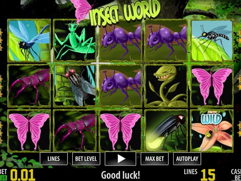 Insect World HD Game Preview