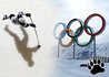 NHL starts will not participate at Winter Olympics 2018