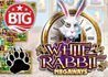 Leo Vegas Casino Gets Exclusive BTG New Slot White Rabbit