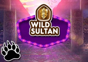 Wild Sultan's Casino Challenge - May 2016