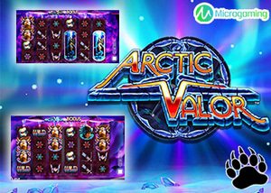 Microgaming Casinos New Arctic Valor Slot