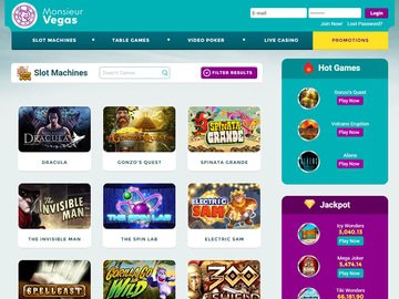 Monsieur Vegas Casino Software Preview