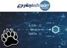 New Playtech BetTracker System at Playtech Casinos