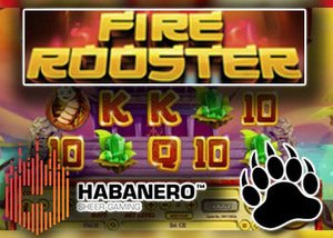 new fire rooster slot habanero casinos