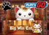 New Release Coming to Play'N Go Casinos - Big Win Cat Slot